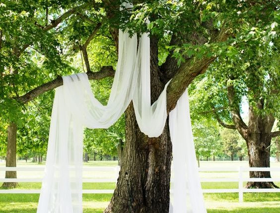 drape sheer curtains over a shaded tree for a simple yet beautiful wedding ceremony backdrop
