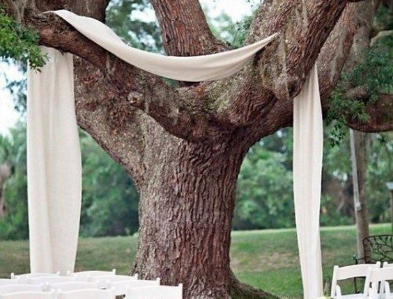 fabric draped over tree wedding backdrop