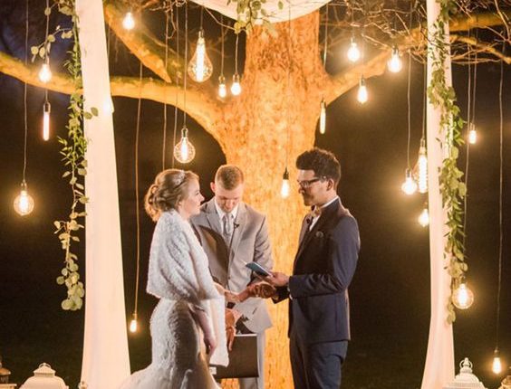 tree wedding backdrop with hanging edison light bulbs, fabric curtain and greens