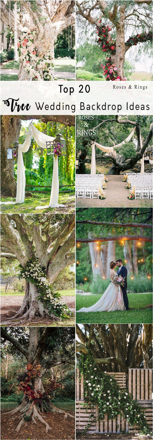 wedding tree ceremony backdrop arch idea
