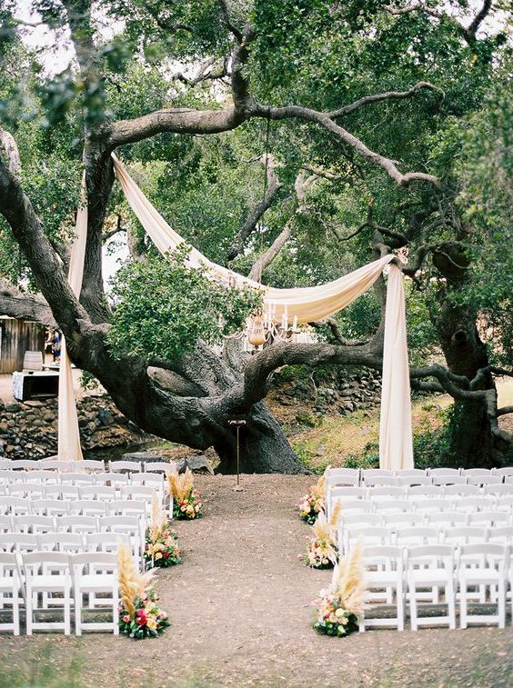 wedding tree ceremony setup