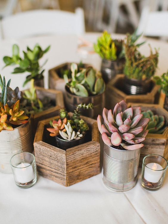 Mimic the essence of botanical gardens with natural DIY potted succulents for whimsical wedding centerpieces
