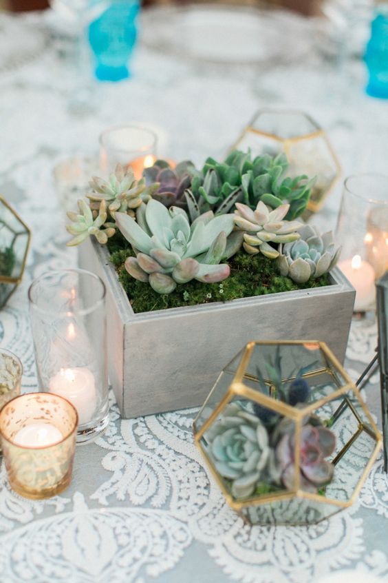 Geometric potted succulents wedding centerpiece