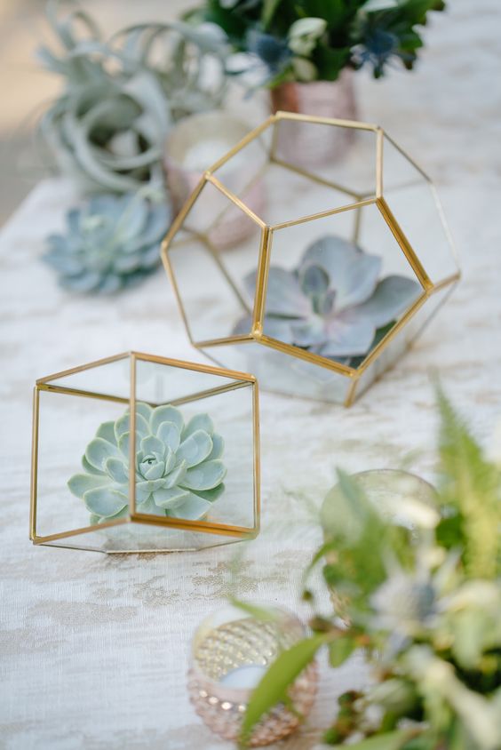 Succulents in Geometric Terrariums Wedding Centerpiece