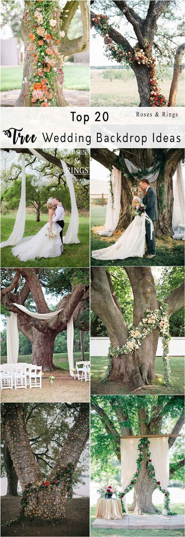 Wedding Tree Ceremony Arches and Backdrops