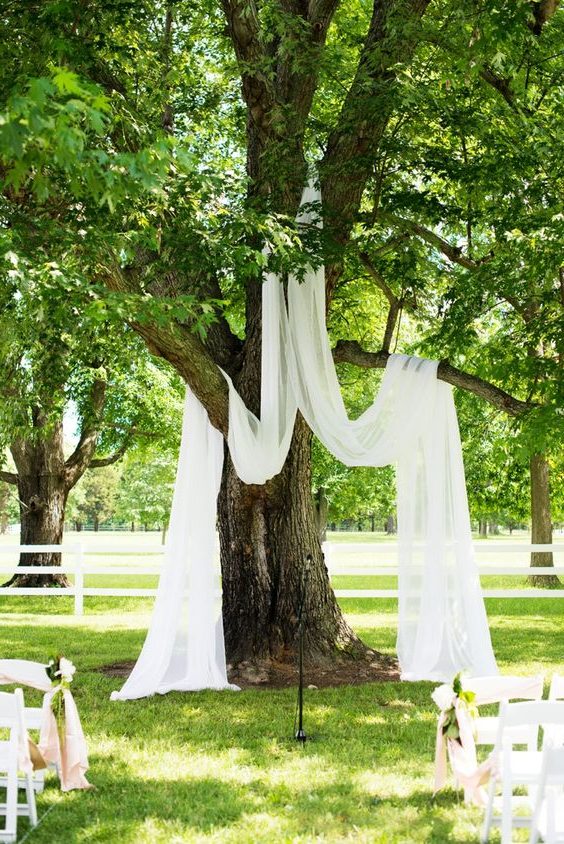 drape sheer curtains over a shaded tree for a simple yet beautiful wedding ceremony backdrop