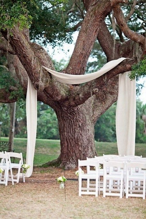 fabric draped over tree wedding backdrop