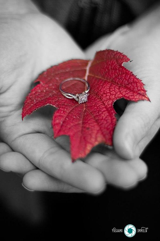 Fall engagement photo poses and pictures