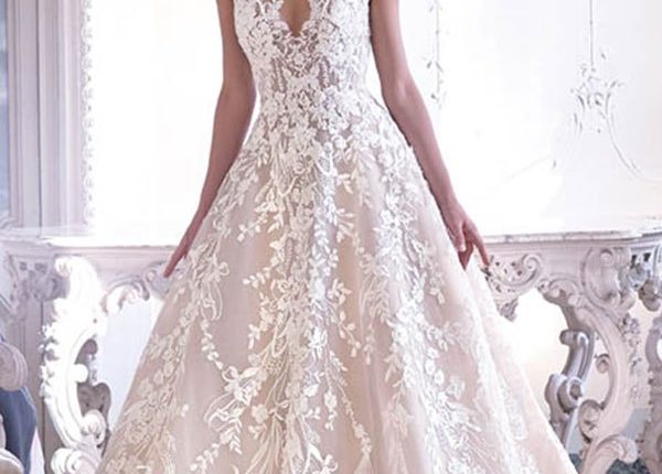 Demetrios 2019 Wedding Dress DP387_1