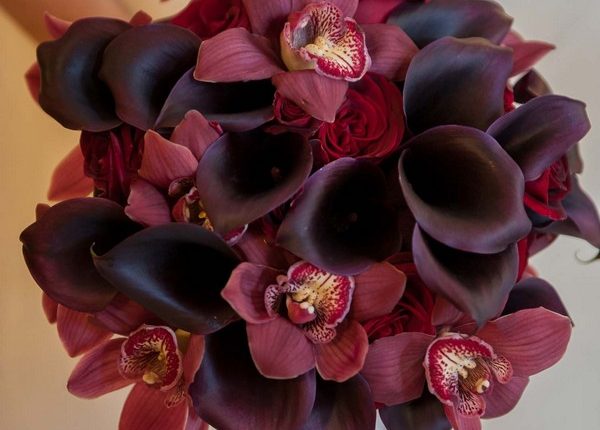 Burgundy callas with deep cherry orchids wedding bouquet