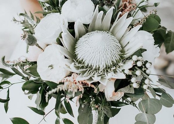 bohemian white blush and greenery wedding bouquet with king protea