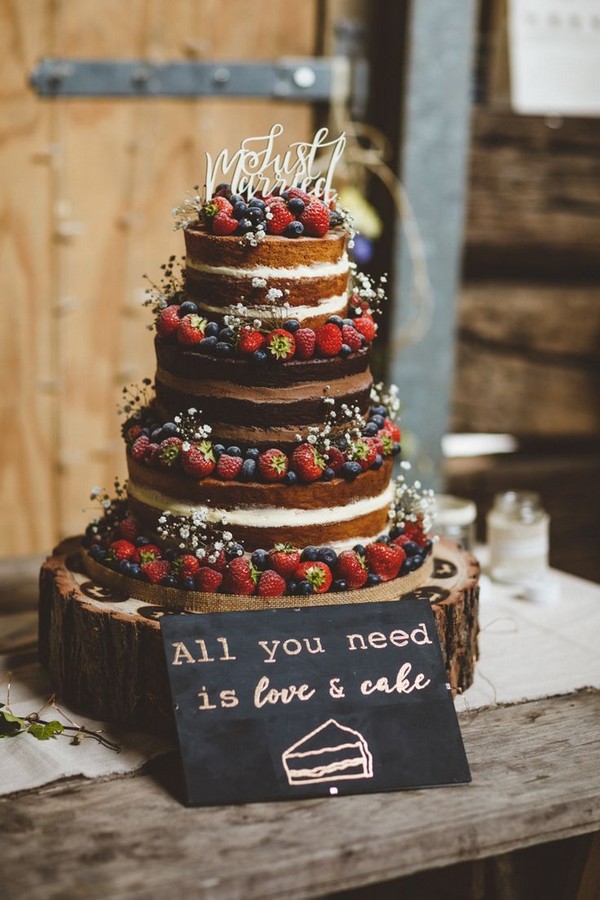 Naked Cake Layer Sponge Fruit Berries Log Stand