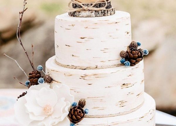 Country rustic wedding cake ideas 17