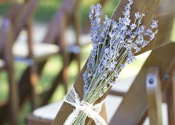 lavender wedding chair decoration