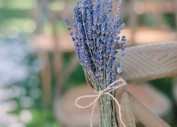 outdoor backyard wedding chair with lavender
