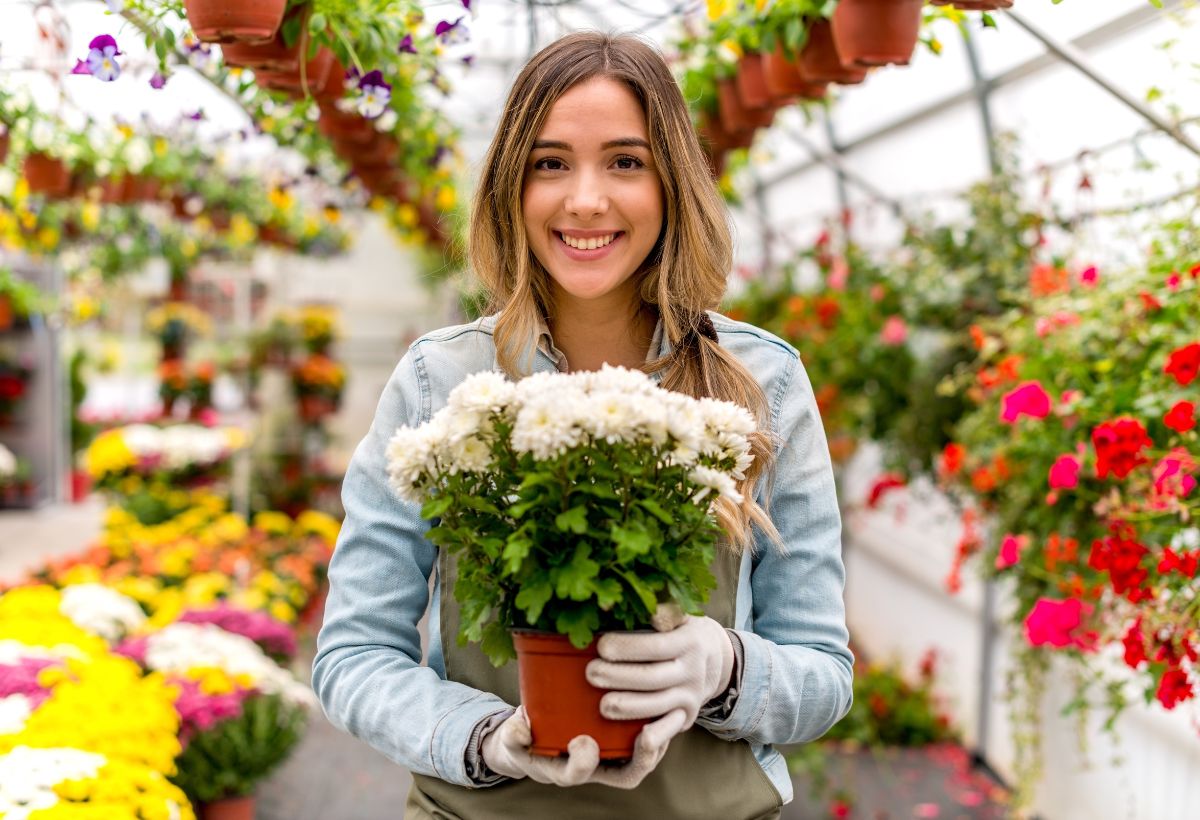 a local florist shop in mcallen tx 1