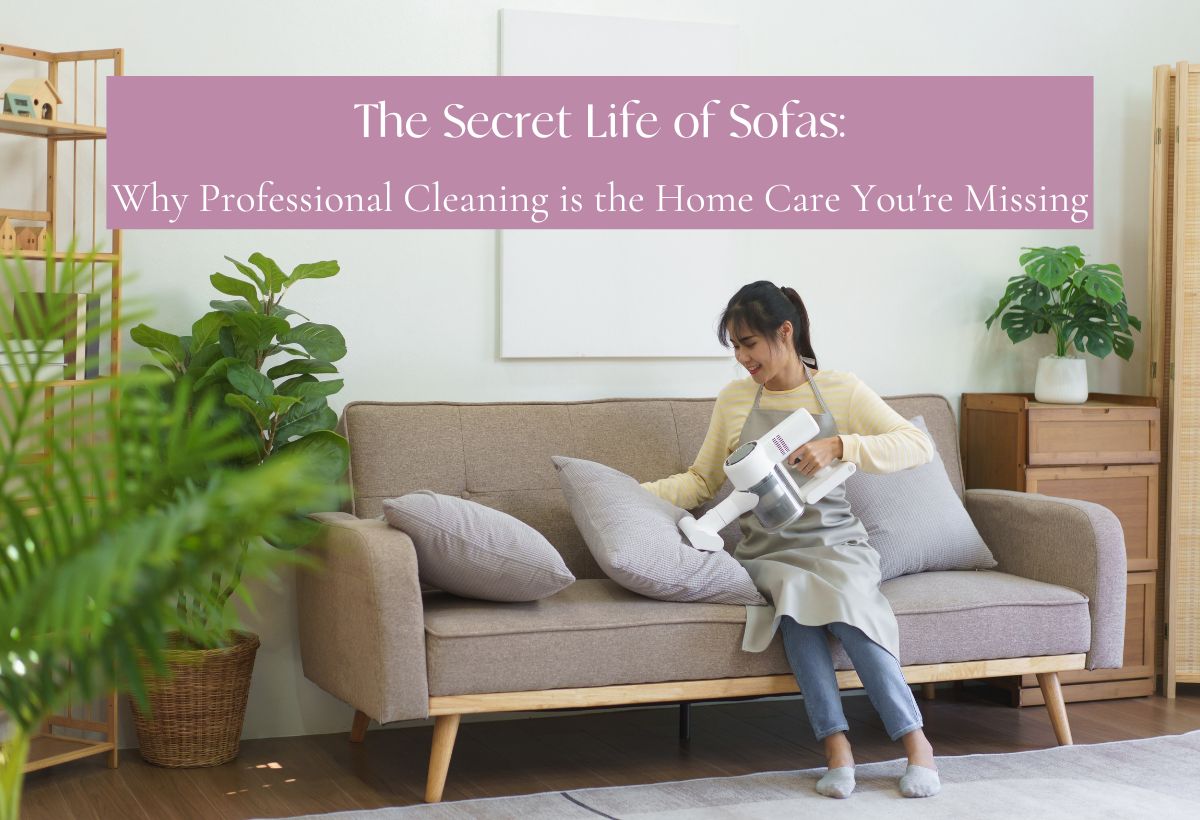 Cleaning sofa